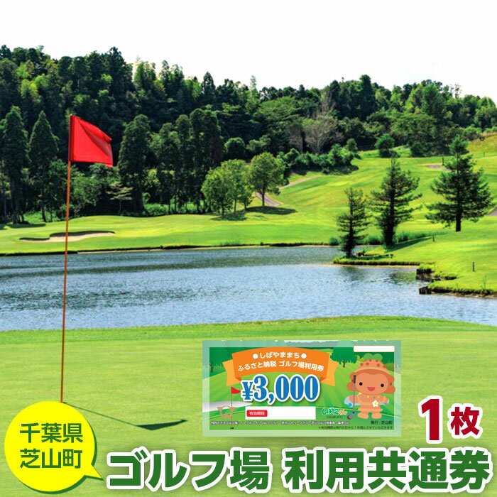 【ふるさと納税】No.001 芝山町ゴルフ場利用券　1枚 ／ golf 芝山ゴルフ倶楽部 京カントリークラブ イーグルレイクゴルフクラブ 共通チケット アウトドア 施設利用券 送料無料 千葉県