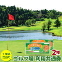 アウトドア体験チケット 【ふるさと納税】No.002 芝山町ゴルフ場利用券　2枚 ／ golf 芝山ゴルフ倶楽部 京カントリークラブ イーグルレイクゴルフクラブ 共通チケット アウトドア 施設利用券 送料無料 千葉県