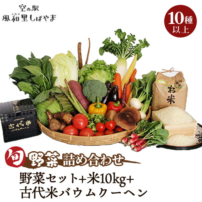 【ふるさと納税】 野菜セット10種以上＋米10kg＋古代米バウムクーヘン ／ 野菜 米 季節の野菜 旬 新鮮 コシヒカリ 精米 白米 スイーツ 洋菓子 バームクーヘン 自慢の逸品 送料無料 千葉県 No.074