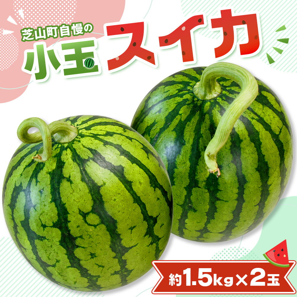 小玉スイカ / すいか 小玉 約1.5kg×2玉 芝山町産 厳選 旬 食べきりサイズ 水分補給 夏 甘い 高糖度 おやつ デザート 西瓜 お取り寄せ 産地直送 産直 送料無料 青果 千葉県 No.094