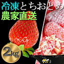 【ふるさと納税】農家直送!削りイチゴパフェも楽しめるBELL FARMの美味しい冷凍いちご2kg【苺1kg×2箱】【配送不可地域:離島】【1013445】