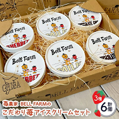 農家直送!BELL FARMの美味しい苺アイスクリーム 3種×2個 6個セット[配送不可地域:離島]