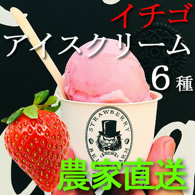 千葉県横芝光町の【ふるさと納税】摘み立て苺アイス 人気のいちごアイスクリームセット Bell Farm のこだわり 6個セット【配送不可地域:離島】【1133535】|詳細画像