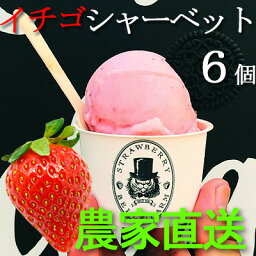 【ふるさと納税】農家直送!BELL FARMの美味しい苺シャーベット　2種×3　6個セット【配送不可地域：離島】【1384266】