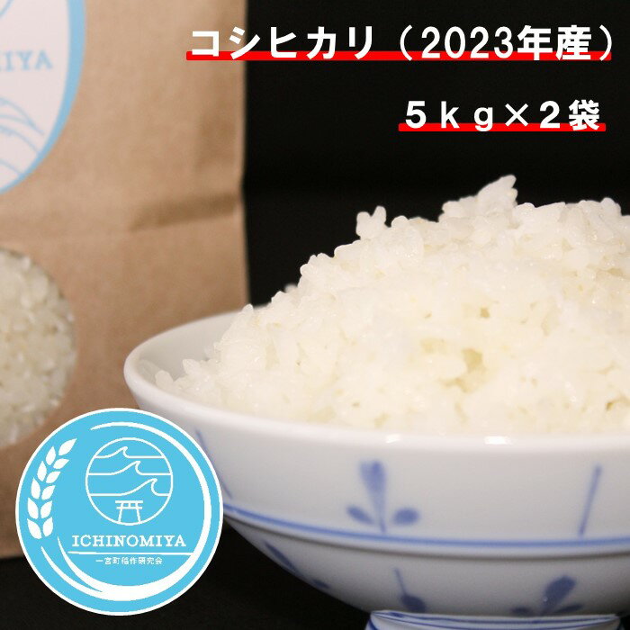 千葉県一宮町産コシヒカリ(白米10kg)令和5年産米 ※2023年発送分 5kg×2袋 一等米 白米 精米