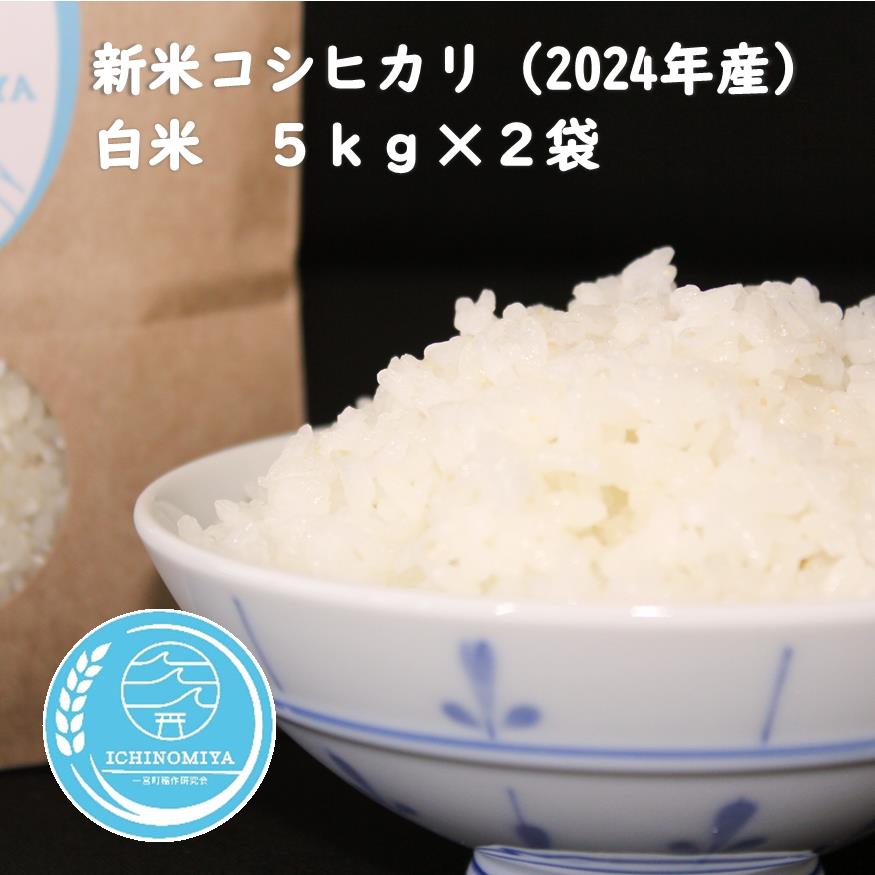 【ふるさと納税】【先行予約】　千葉県一宮町産コシヒカリ（白米10kg）令和6年産米　※2024年発送分　5kg×2袋 　一等米　白米　精米