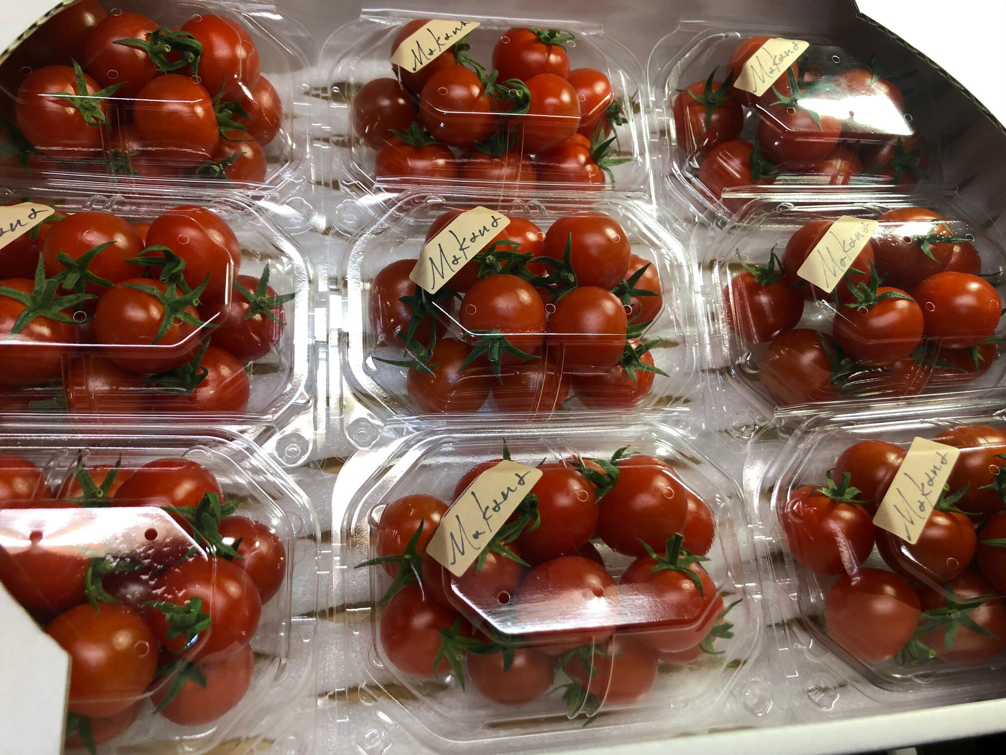 【ふるさと納税】【石井農園】高糖度フルーツミニトマト「Makana(マカナ)」やみつきパック150g×9パック