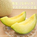 【ふるさと納税】【先行予約】長生 マスクメロン 2玉(3Lサイズ)約3.5kg ※2025年発送分 千葉県 長生郡 長生メロン ながいき 産地 直送 数量限定 ...