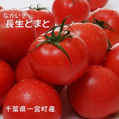 とまと 2箱（40～48個(約8kg)）　トマト　千葉県　長生トマト　8kg