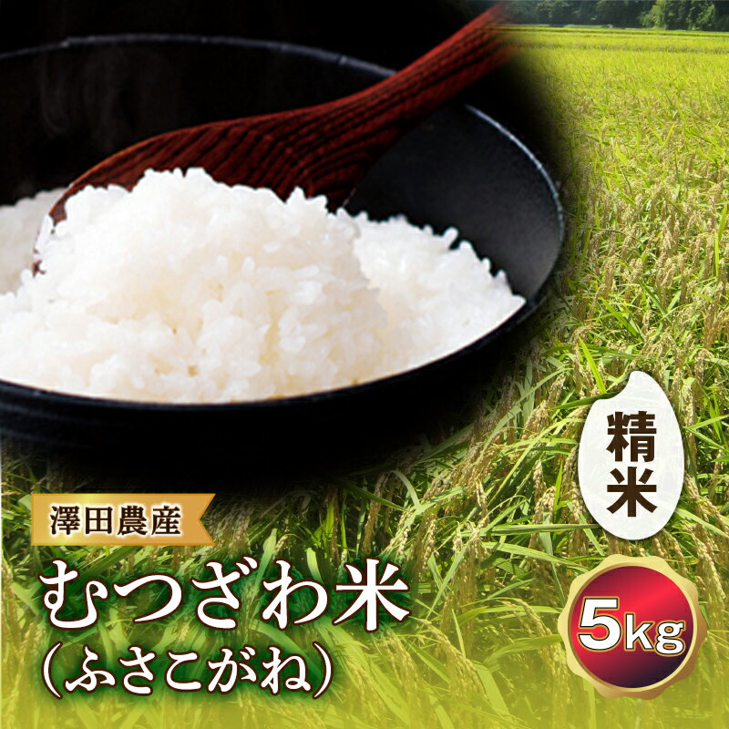 令和5年産米 むつざわ米（ふさこがね）精米 5kg 澤田農産 F21G-127