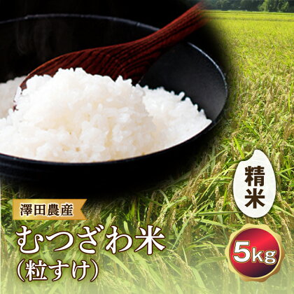 令和5年産米 むつざわ米（粒すけ）精米 5kg 澤田農産 F21G-128