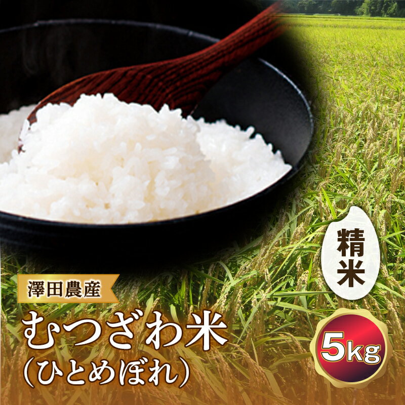 【ふるさと納税】令和5年産米 むつ