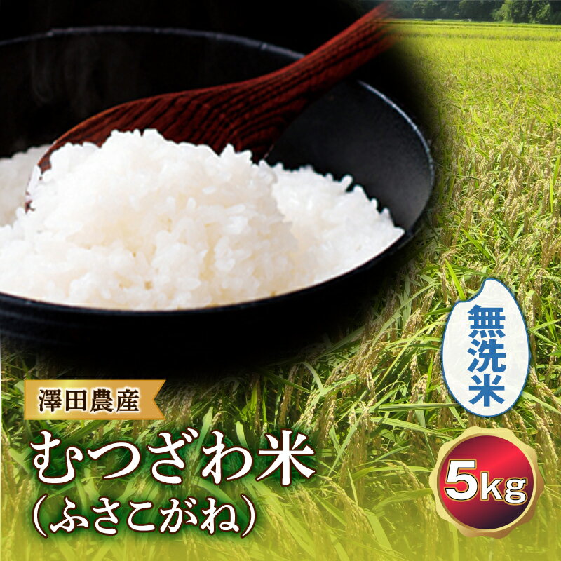 【ふるさと納税】令和5年産米 むつざわ米 （ふさこがね） 無洗米 5kg 澤田農産 F21G-162