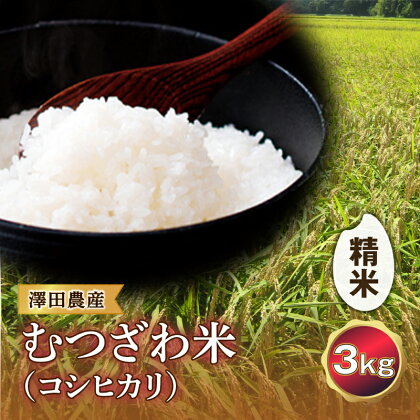 令和5年産米 むつざわ米（コシヒカリ）精米 3kg 澤田農産 F21G-173