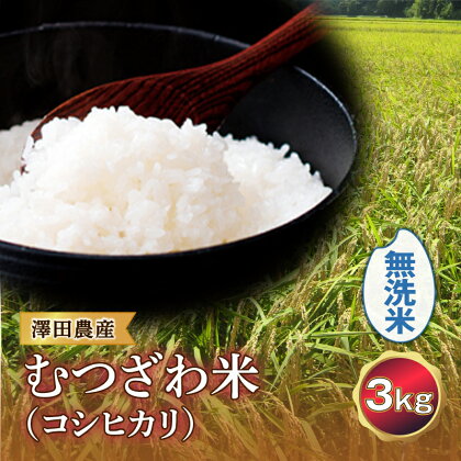 令和5年産米 むつざわ米（コシヒカリ）無洗米 3kg 澤田農産 F21G-179