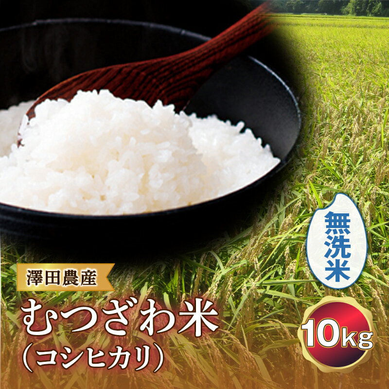 令和5年産米 むつざわ米（コシヒカリ）無洗米 10kg 澤田農産 F21G-180