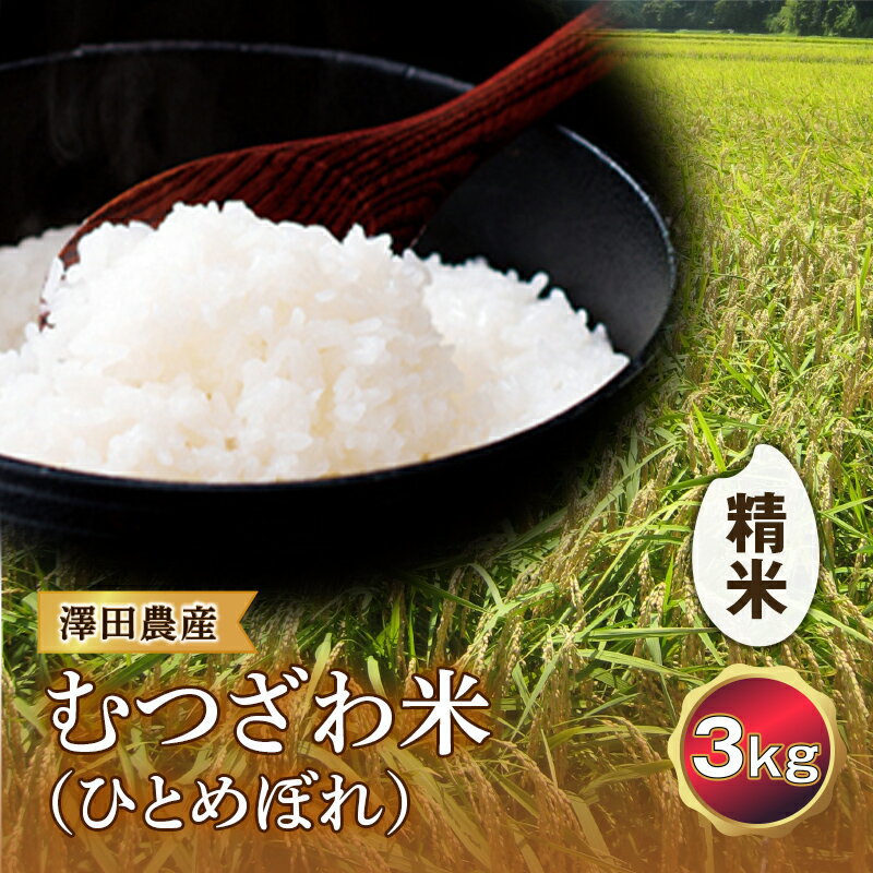 令和5年産米 むつざわ米（ひとめぼれ）精米 3kg 澤田農産 F21G-181