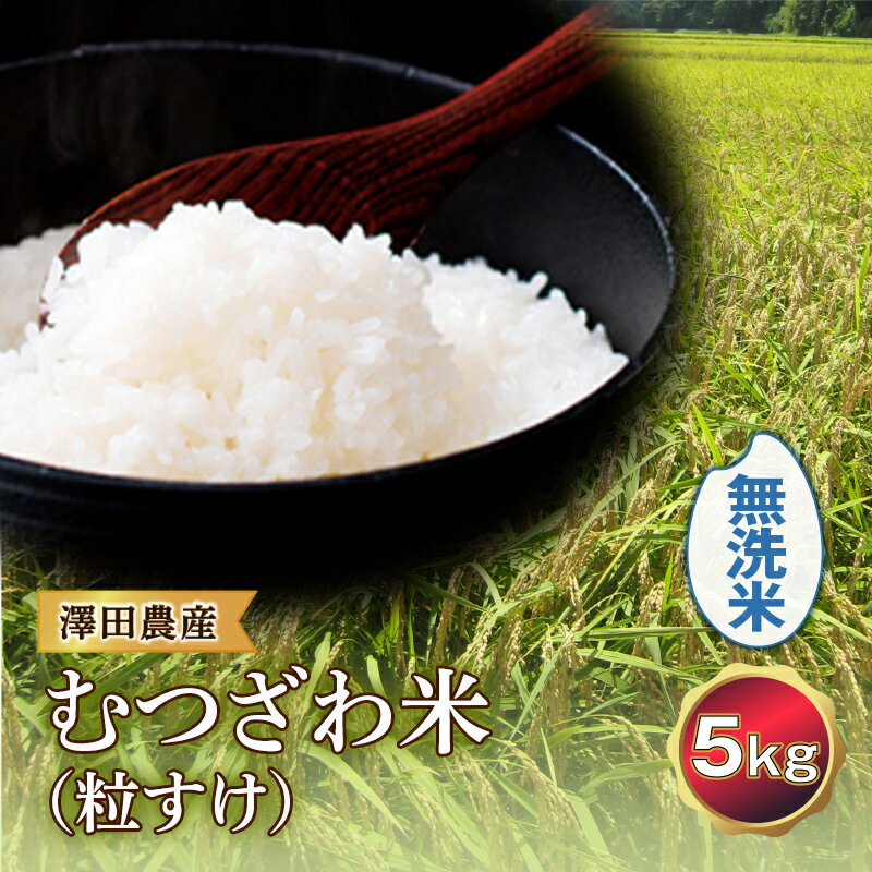 令和5年産米 むつざわ米（粒すけ）無洗米 5kg 澤田農産 F21G-194