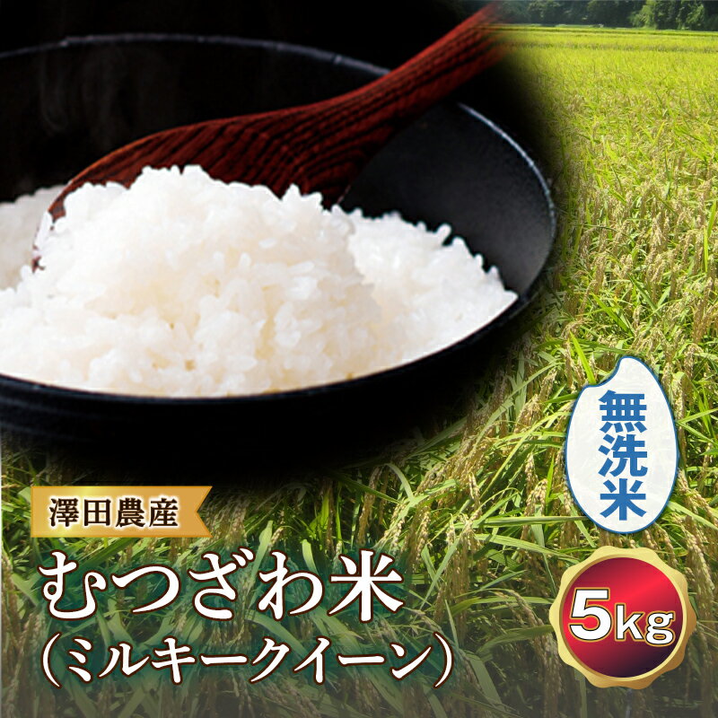 令和5年産米 むつざわ米（ミルキークイーン）無洗米 5kg 澤田農産 F21G-202