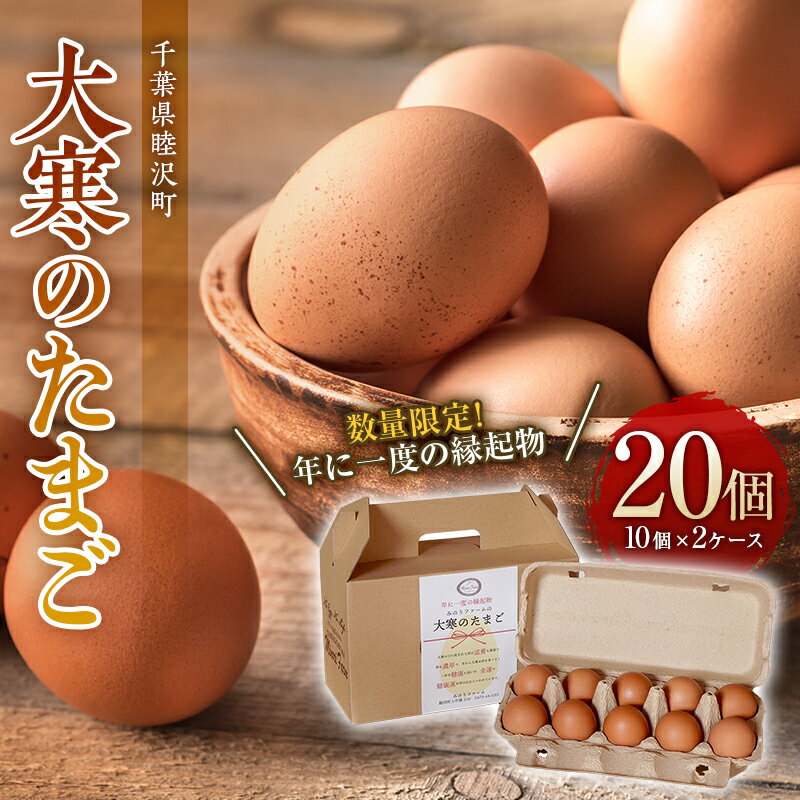 【ふるさと納税】【みのりファーム】 大寒のたまご20個 国産 鶏卵 卵 玉子 タマゴ 生卵 濃厚 千葉県 睦沢町 F21G-210のサムネイル