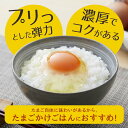 千葉県睦沢町の画像2