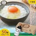 【ふるさと納税】《みのりファーム》おいしいたまご「彩八(いろは)」と卵に良く合うしょうゆセット 国産 鶏卵 卵 玉子 タマゴ 生卵 卵かけご飯 TKG 千葉県 睦沢町 F21G-223