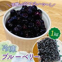 【ふるさと納税】山田農園 冷凍ブルーベリー 1kg 国産 無