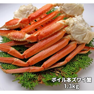 【ふるさと納税】ボイル本ズワイガニ肩 1.3kg