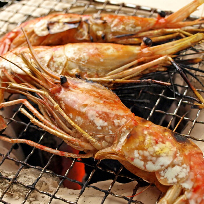 【ふるさと納税】刺身用ボタンエビ 1.5kg