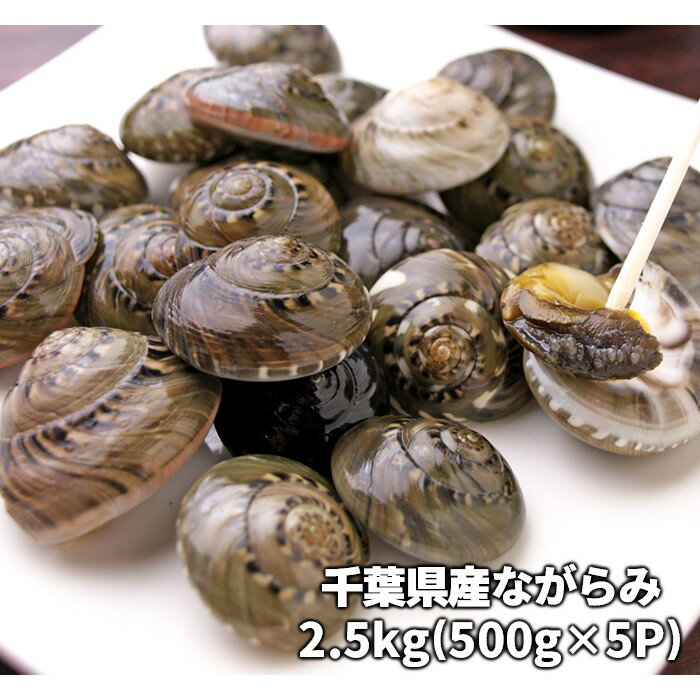 返礼品詳細 名称 ながらみ 内容量 2.5kg(500g×5パック) 産地名 千葉県 養殖・解凍の別 天然・冷凍 賞味期限 返礼品到着後から1か月以上あるものを発送 詳細は梱包の発泡スチロール側面に記載 保存方法 要冷凍 加工業者名 伯東商事株式会社 千葉県長生郡長生村一松甲2510-6 事業者名 伯東商事株式会社 千葉県長生郡長生村一松甲2510-6 ・ふるさと納税よくある質問はこちら ・寄附申込みのキャンセル、返礼品の変更・返品はできません。あらかじめご了承ください。カテゴリトップ&nbsp;&gt;&nbsp;返礼品から探す&nbsp;&gt;&nbsp;水産加工品&nbsp;&gt;&nbsp;その他魚介類 カテゴリトップ&nbsp;&gt;&nbsp;寄附金額から探す&nbsp;&gt;&nbsp;10,001円～20,000円 「ふるさと納税」寄附金は、下記の事業を推進する資金として活用してまいります。 寄附を希望される皆さまの想いでお選びください。 (1) 子育て (2) 福祉 (3) 環境 (4) 産業 (5) 村に一任 入金確認後、注文内容確認画面の【注文者情報】に記載の住所にお送りいたします。 発送の時期は、寄附確認後14営業日以内をを目途に、お礼の特産品とは別にお送りいたします。