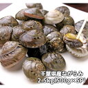 【ふるさと納税】千葉県産ながらみ 2.5kg 冷凍 貝 天然...