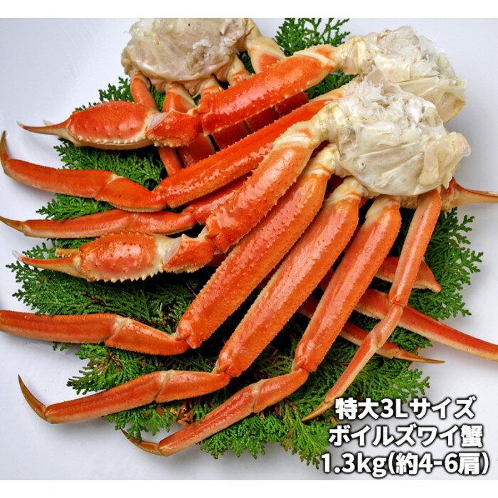 【ふるさと納税】ボイル本ズワイガニ肩 1.3kg（1肩約250g～300g） 特大3Lサイズ