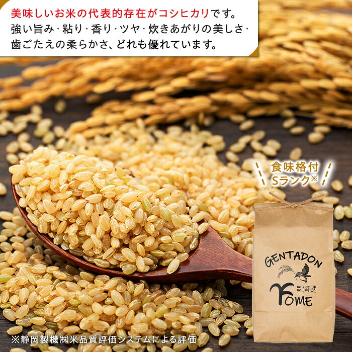 【ふるさと納税】特別栽培米　コシヒカリ（玄米）5kg 〜 30kg 令和8年産米 玄米 米 ふるさと 納税 千葉県 長生村 f124231-chosei-10000247 千葉県長生村 サンプル画像2