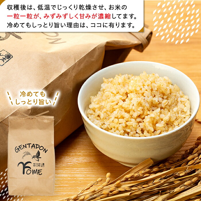 【ふるさと納税】特別栽培米　コシヒカリ（玄米）5kg 〜 30kg 令和8年産米 玄米 米 ふるさと 納税 千葉県 長生村 f124231-chosei-10000247 千葉県長生村 サンプル画像3