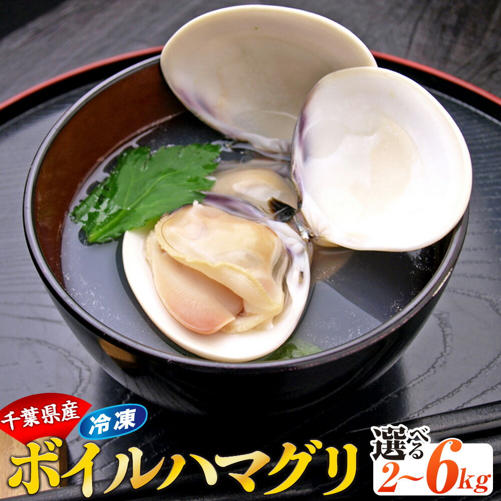 千葉県産ボイルハマグリ 2kg〜6kg 天然 冷凍 はまぐり ハマグリ 蛤 貝 魚介 お取り寄せ グルメ ふるさと 納税 千葉県 長生村 九十九里
