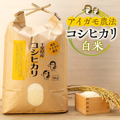 アイガモ農法によるお米 5kg〜15kg 白米 コシヒカリ こしひかり 合鴨農法 合鴨 アイガモ 農法 米 合鴨米 ふるさと 納税 千葉県 長生村