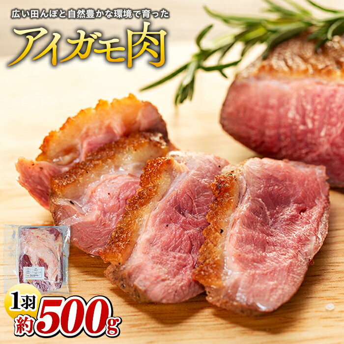 アイガモ肉(生肉)1羽〜2羽分(約500g〜1000g) アイガモ農法 エコファーマー ちばエコ農産物 合鴨肉 アイガモ ふるさと 納税 千葉県 長生村