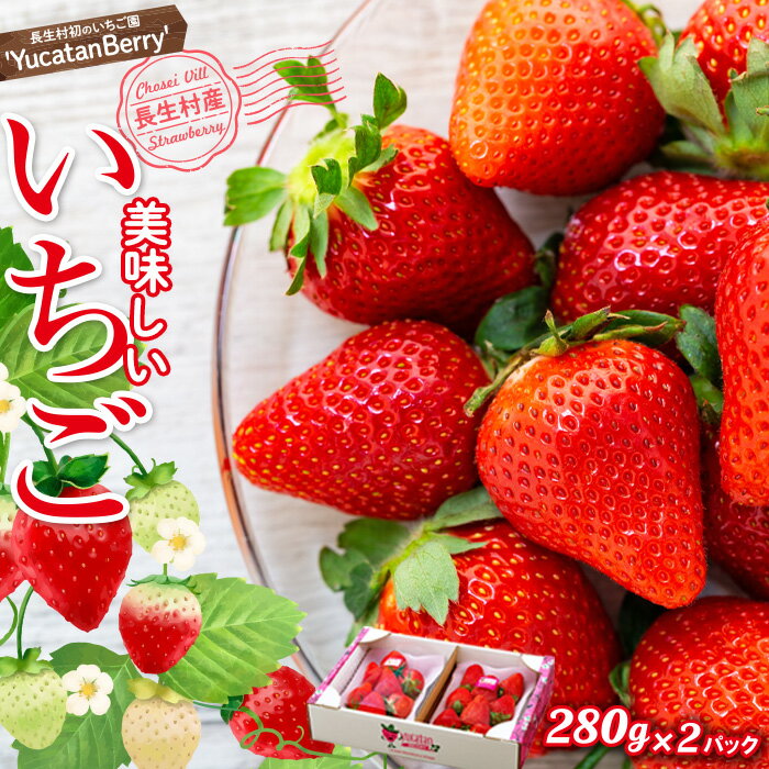 【ふるさと納税】【予約受付 2月以降配送】いちご 280g 2パック おまかせ 長生村産 いちご イチゴ 苺 フルーツ 果物 ふるさと 納税 千葉県 長生村のサムネイル