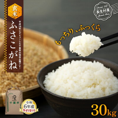 楽天ふるさと納税　【ふるさと納税】【令和6年産新米・先行予約】ふさこがね（玄米30kg）令和6年産 玄米 石抜き 色彩選別機処理済 千葉県独自品種 長生村 新米 千葉県