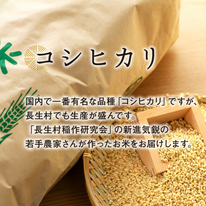 【ふるさと納税】【令和6年産新米・先行予約】コシヒカリ（玄米30kg〜60kg）令和6年産 玄米 石抜き 色彩選別機処理済 千葉県独自品種 長生村 新米 千葉県