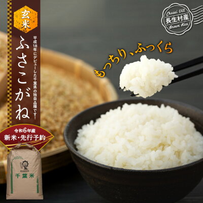 楽天ふるさと納税　【ふるさと納税】【令和6年産新米・先行予約】ふさこがね（玄米30kg〜60kg）令和6年産 玄米 石抜き 色彩選別機処理済 千葉県独自品種 長生村 新米 千葉県