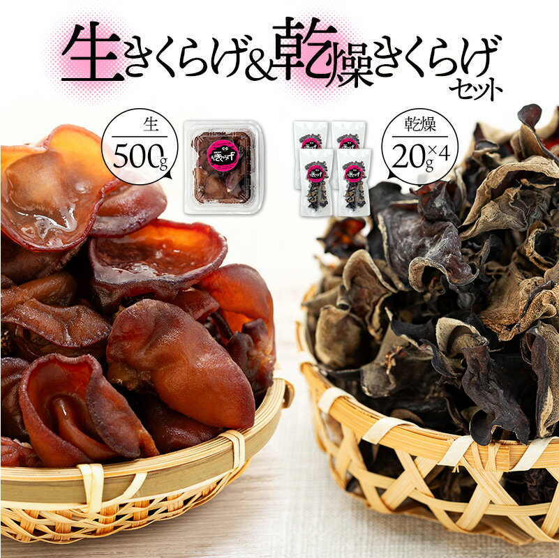 【ふるさと納税】生きくらげ&乾燥きくらげセット きのこ 木耳 ふるさと 納税 千葉県 長生村