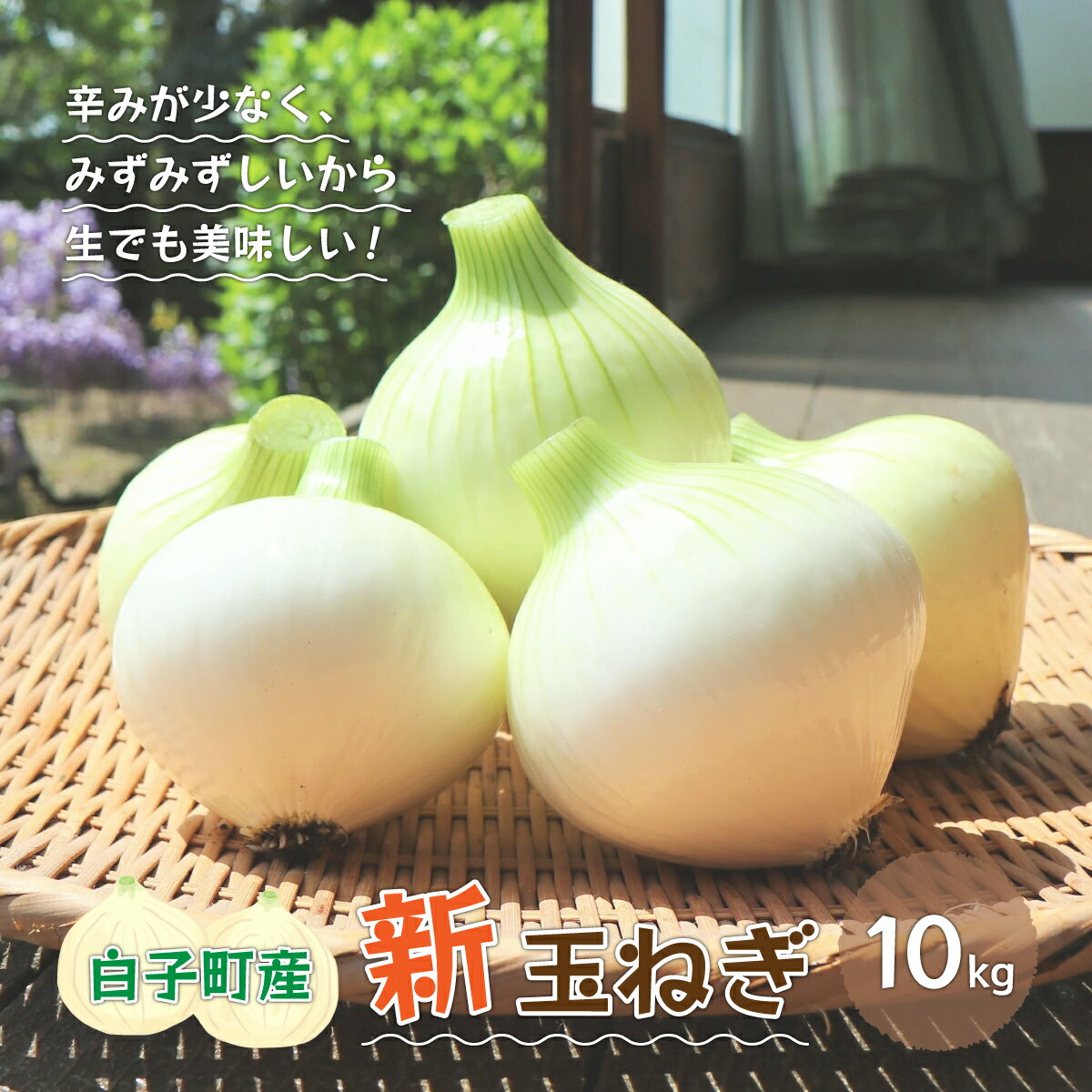 [令和6年の先行予約募集・数量限定]生で食べても美味しい!白子産の新玉ねぎ10kg ふるさと納税 たまねぎ 玉ねぎ 白子玉ねぎ スライス サラダ 健康 味噌汁 数量限定 先行予約 令和6年発送 2024年発送 千葉県 白子町 送料無料