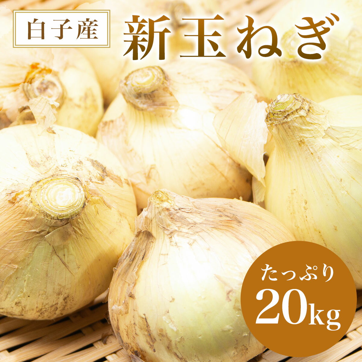 [令和6年 先行予約]白子産 新玉ねぎ 20kg ふるさと納税 たまねぎ 玉ねぎ 白子玉ねぎ スライス サラダ 健康 味噌汁 数量限定 先行予約 令和6年発送 2024年発送千葉県 白子町 送料無料