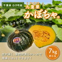 【令和6年の先行予約募集・数量限定】九重栗かぼちゃ 7kg ふるさと納税 栗かぼちゃ 千葉県 白子町 煮物 お菓子 健康 年越し おせち きんとん 送料無料 SHI004