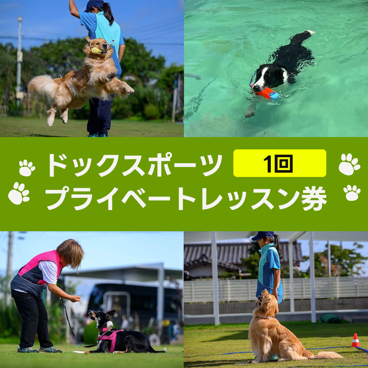 ドックスポーツ プライベートレッスン券(1回) ふるさと納税 ドッグスポーツ 利用券 チケット 犬 イヌ いぬ 愛犬 利用チケット レッスンチケット レッスン アジリティー オビディエンス ノーズワーク 天然芝 千葉県 白子町 送料無料