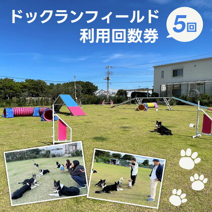 ドックランフィールド利用回数券（5回） ふるさと納税 ドッグスポーツ 利用券 チケット 犬 イヌ いぬ ドッグラン どっぐらん dog sports dog run アジリティー オビディエンス ノーズワーク 千葉県 白子町 送料無料 SHAI007