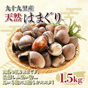 【ふるさと納税】九十九里産 大粒 天然はまぐり1.5kg ...