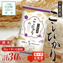 【ふるさと納税】令和5年産 ＜6ヶ月定期便＞千葉県産コシヒカリ＜精米＞5kg×6ヶ月連続 計30kg ふるさと納税 お米 定期 30kg 千葉県産 ..