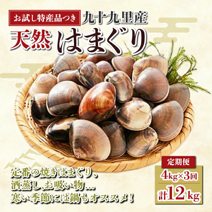 【ふるさと納税】＜定期便＞ 九十九里産 大粒 はまぐり4.0kg×3回 計12kg ふるさと納税 はまぐり 蛤 天然 定期 節句 ひな祭り ひなまつり 手土産 送料無料 SHF004